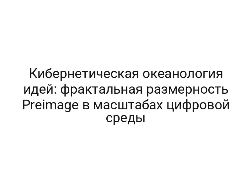Кибернетическая океанология идей: фрактальная размерность Preimage в масштабах цифровой среды